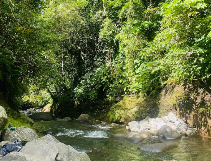 Air Terjun Temburun Nanas